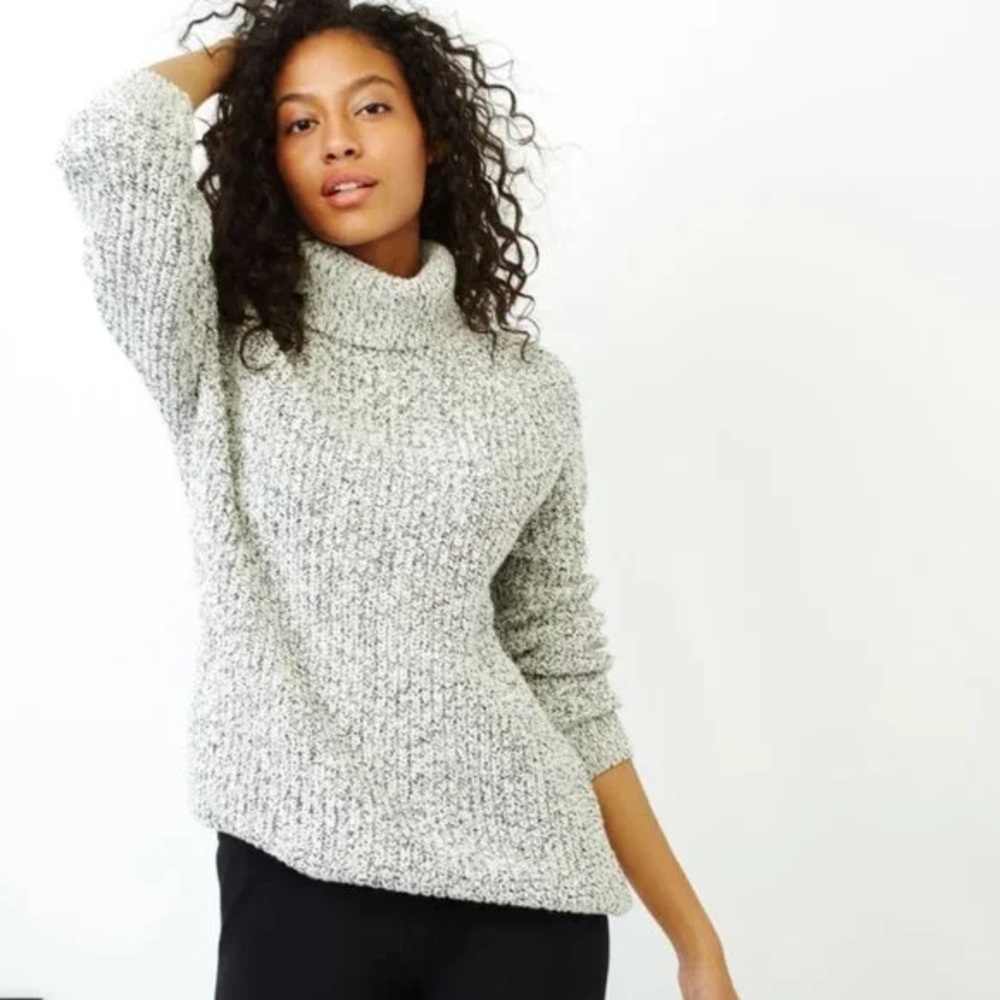 Roots Snowy Fox Turtleneck Sweater